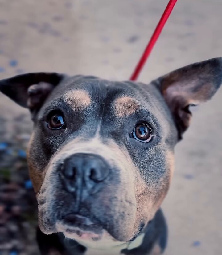 Bruce looking up at the camera